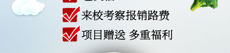 荣佳特色蔬菜面条培训